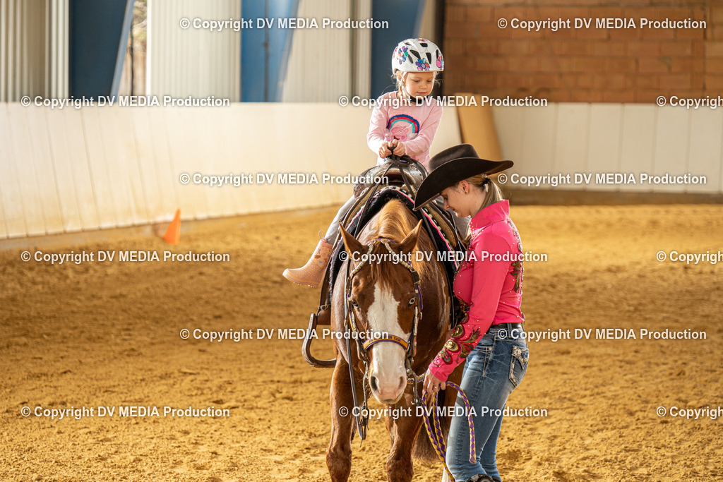 MIT01185 | dv-media-shop - Realisiert mit Pictrs.com