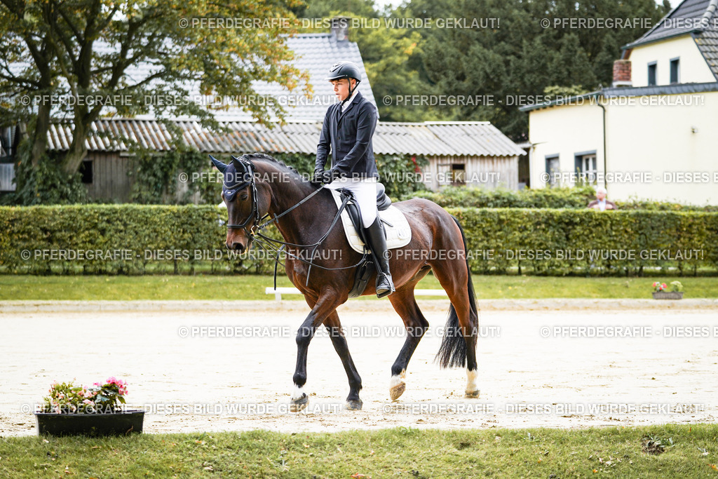 DSC04429 | Pferdegrafie