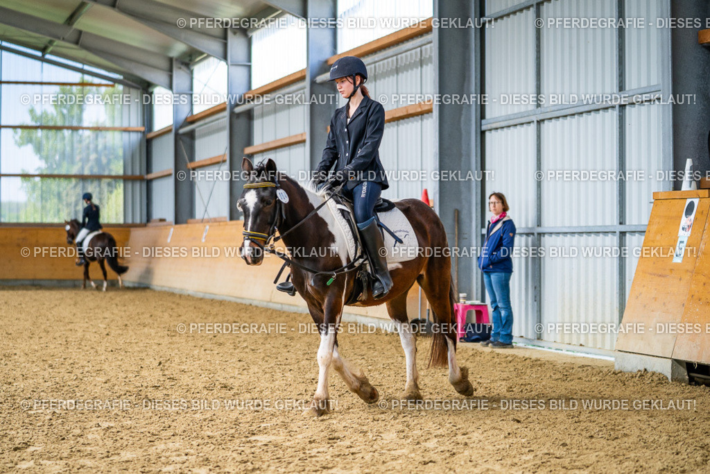 DSC03655 | Pferdegrafie