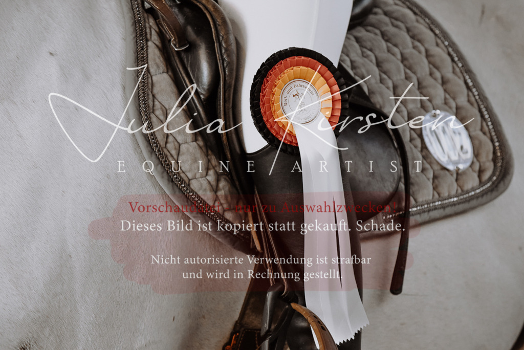 DSC_7512 | Pferde- und Turnierfotografie in Westsachsen. Pferdeportraits, Auftragszeichnungen und intuitive Kunst.