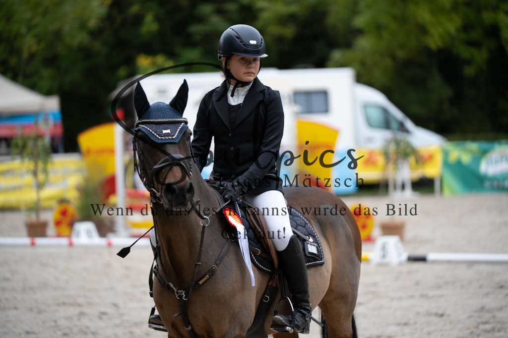 A7V08516 | Pferdefotograf