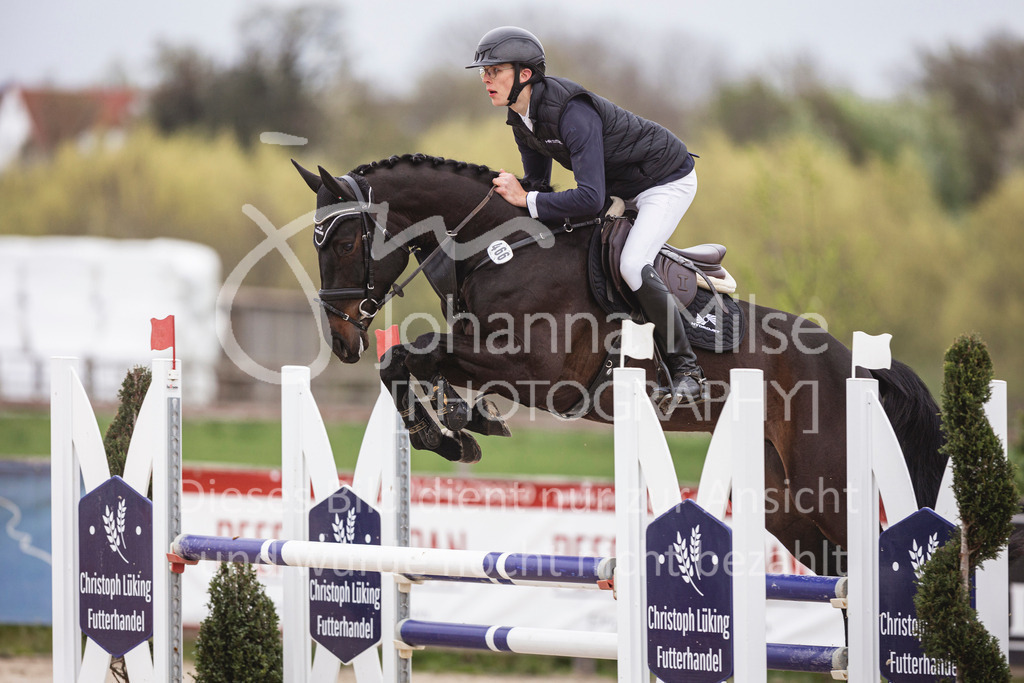 250417_Springpferde-L2-350 | Deine schönsten Turniermomente als professionelle Fotos! Entdecke hochwertige Pferdesport-Fotografie im Online-Shop. Jetzt Fotos finden & bestellen!