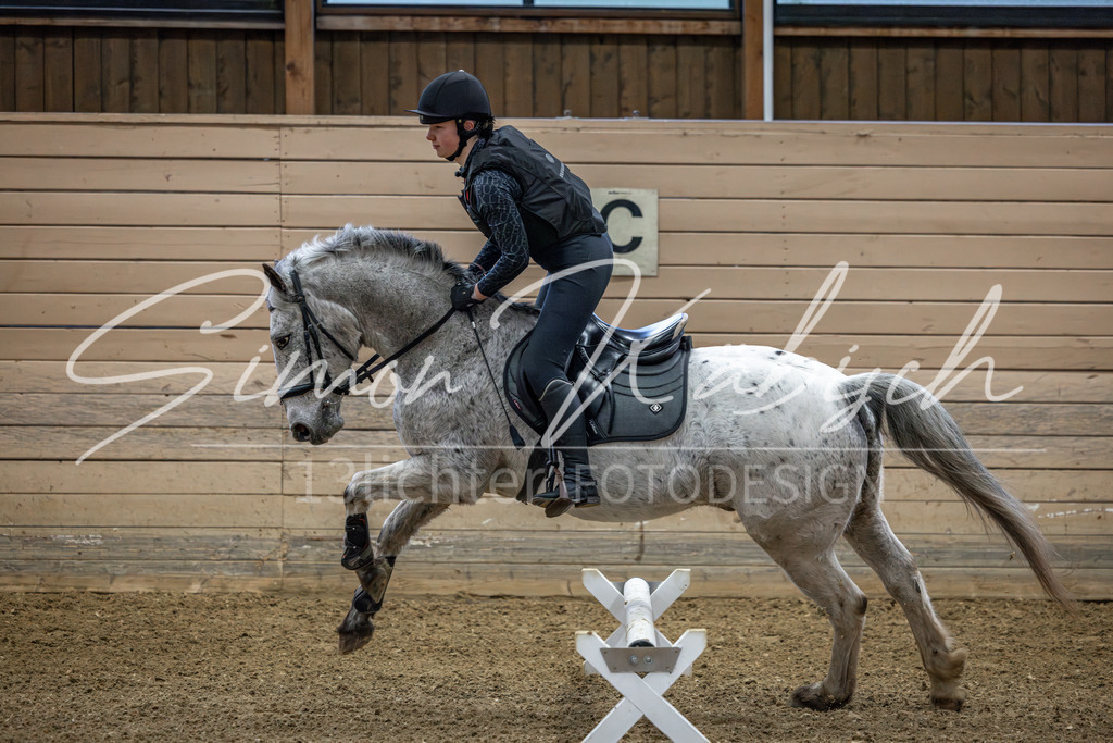 20260222-_3LI0705 | Tierfotografie Pferde, Hunde, Katzen, Haustiere.
Turnierfotografie Reitturniere, Reiten, Springreiten, Dressur in Hanau, dem Main-Kinzig-Kreis und dem Rhein-Main- Gebiet um Frankfurt