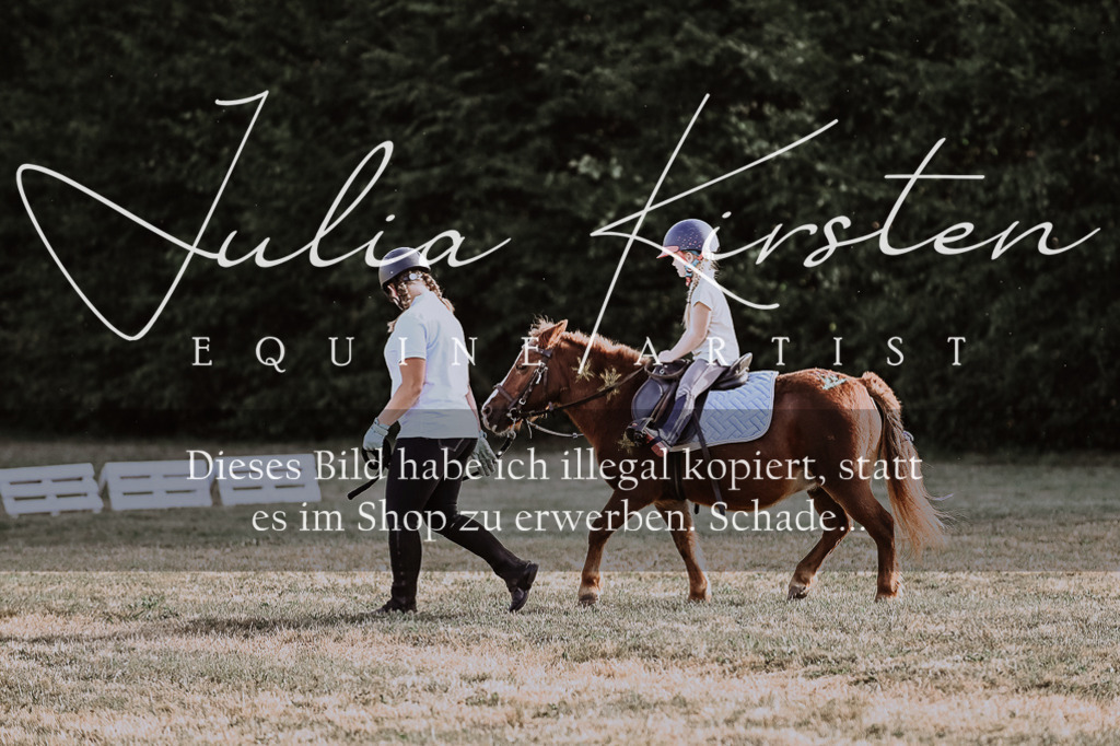 DSC_0139 | Pferde- und Turnierfotografie in Westsachsen. Pferdeportraits, Auftragszeichnungen und intuitive Kunst.
