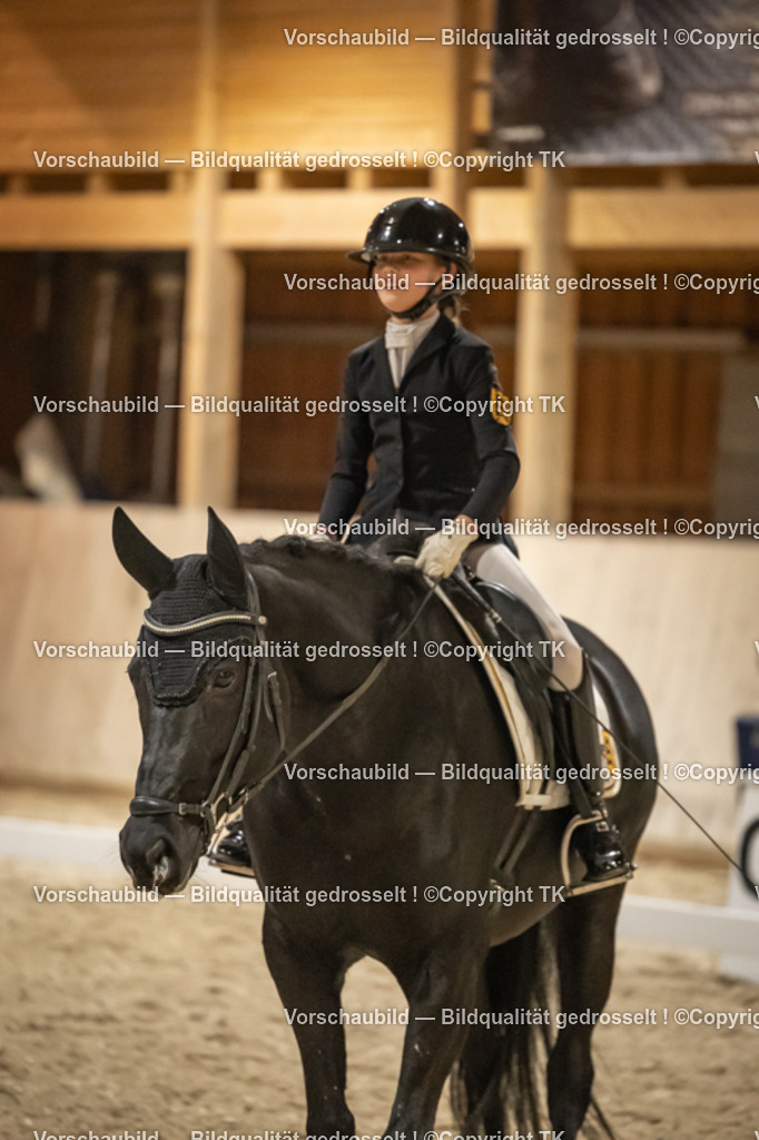 _D5A0728 | Emotionale Pferde- & People-Fotografie rund um Heidelberg, Leimen & Umgebung. Natürliche Fotos von Pferd, Mensch & Familie. Jetzt Termin sichern!