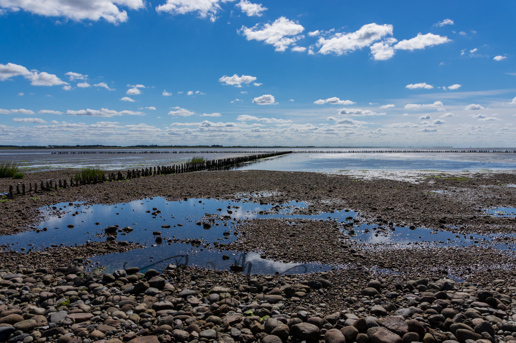 IMGP0444 | Nordseeinsel Mandö - Realisiert mit Pictrs.com