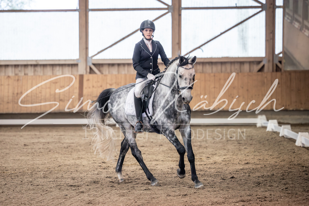 20251011-_3LI1422 | Tierfotografie Pferde, Hunde, Katzen, Haustiere.
Turnierfotografie Reitturniere, Reiten, Springreiten, Dressur in Hanau, dem Main-Kinzig-Kreis und dem Rhein-Main- Gebiet um Frankfurt
