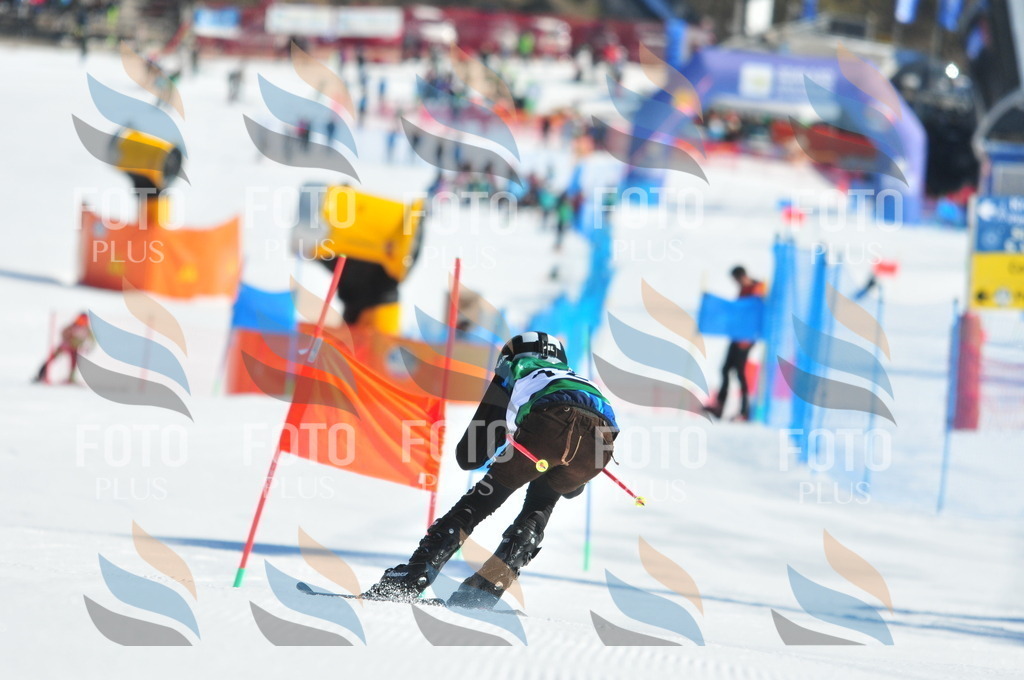 C3817 | holidayphoto