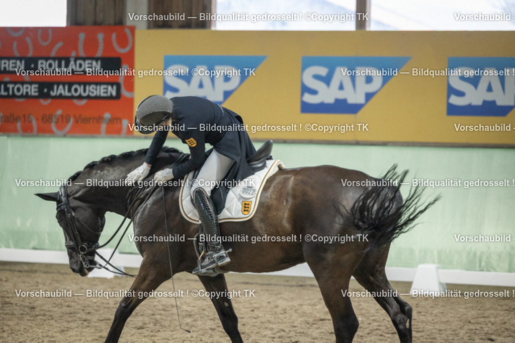 _D5A6996 | Emotionale Pferde- & People-Fotografie rund um Heidelberg, Leimen & Umgebung. Natürliche Fotos von Pferd, Mensch & Familie. Jetzt Termin sichern!