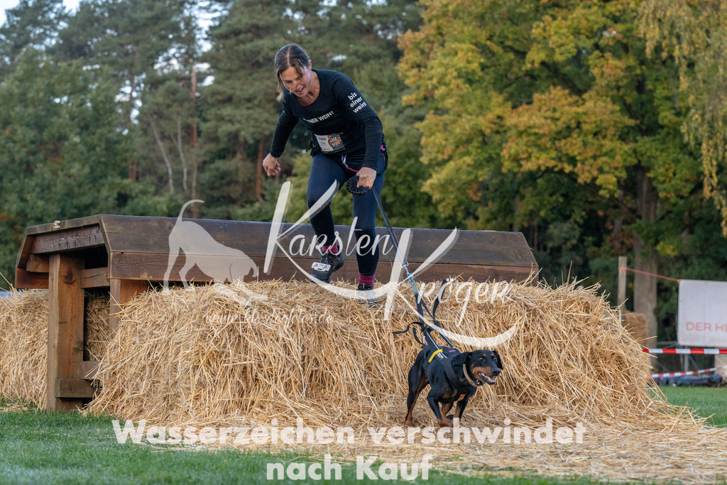 0849_ZZ91491 | kk-dogfotos