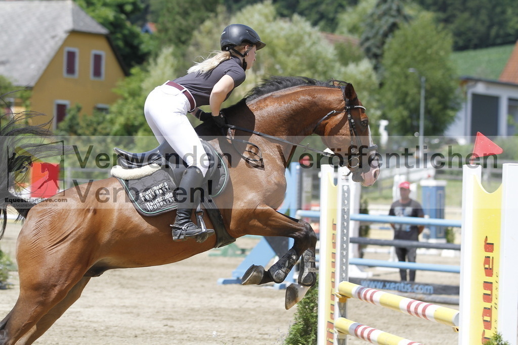 _MG_5343 | equestrian-live-com