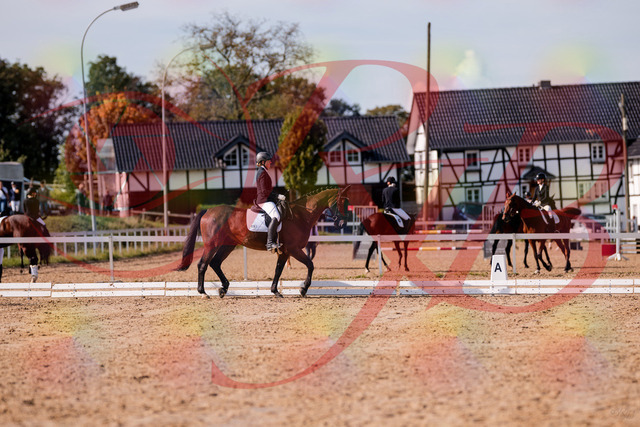 2026_10_03_Siefer-Hof_130236_Z81_57417882 | Professionelle Reitsport-, Turnier- und Eventfotografie von Robert Broda. Galerien mit ausgewählten und bearbeiteten Bildern direkt online ansehen und bestellen.