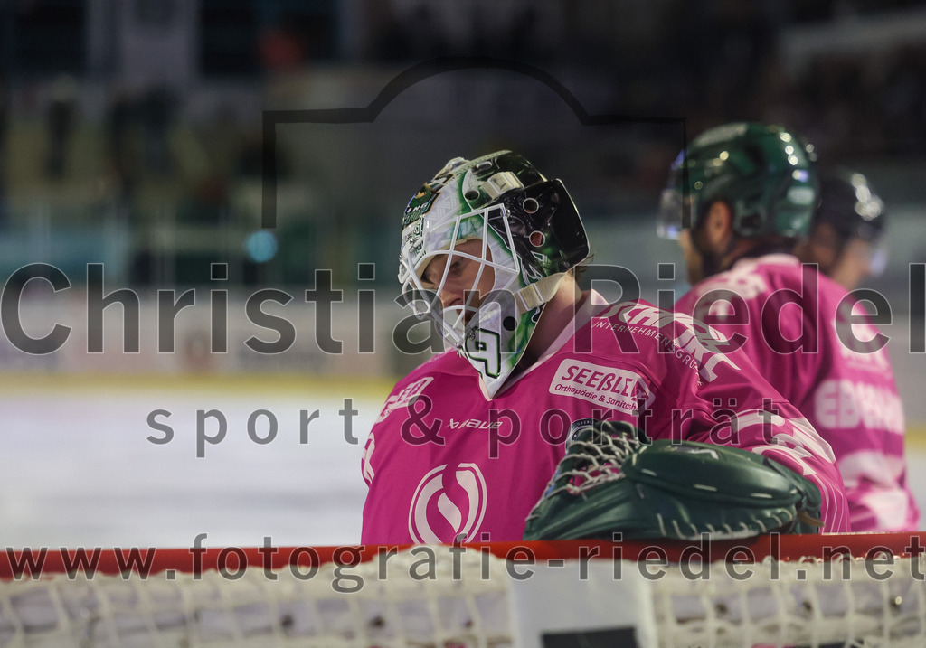 2025-10-10_041_TSV_Erding_gegen_onesto_Tigers_Bayreuth | Erding, Deutschland, 10.10.2025:Eishockey, Oberliga Süd 2025 / 2026, 7. Spieltag, TSV Erding gegen onesto Tigers Bayreuth, Endergebnis: 2:5Torwart Leon Meder (Erding Gladiators, #39)Foto: Christian Riedel / fotografie-riedel.net