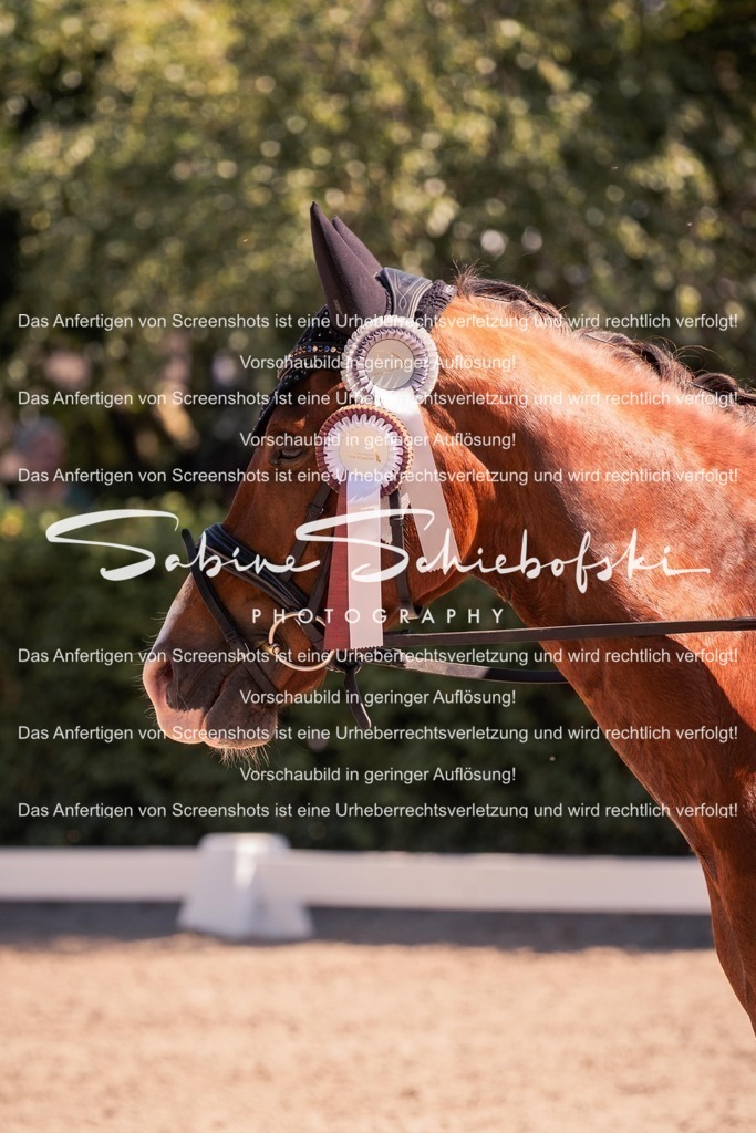 2025_05_31_DSCF3129 | People- und Tierfotografie, Imageaufnahmen, Veranstaltungsfotografie und Wandbilder aus der Natur ★ Made in Germany ✔️ Druck + Downloads ✔️ Naturfotografie in Top Qualität ★ schneller Versand, weltweite Lieferung! - Realisiert mit Pictrs.com