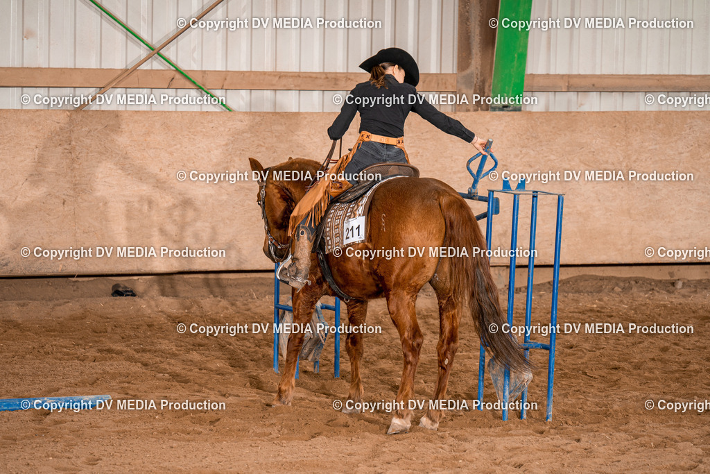 BA400743 | dv-media-shop - Realisiert mit Pictrs.com