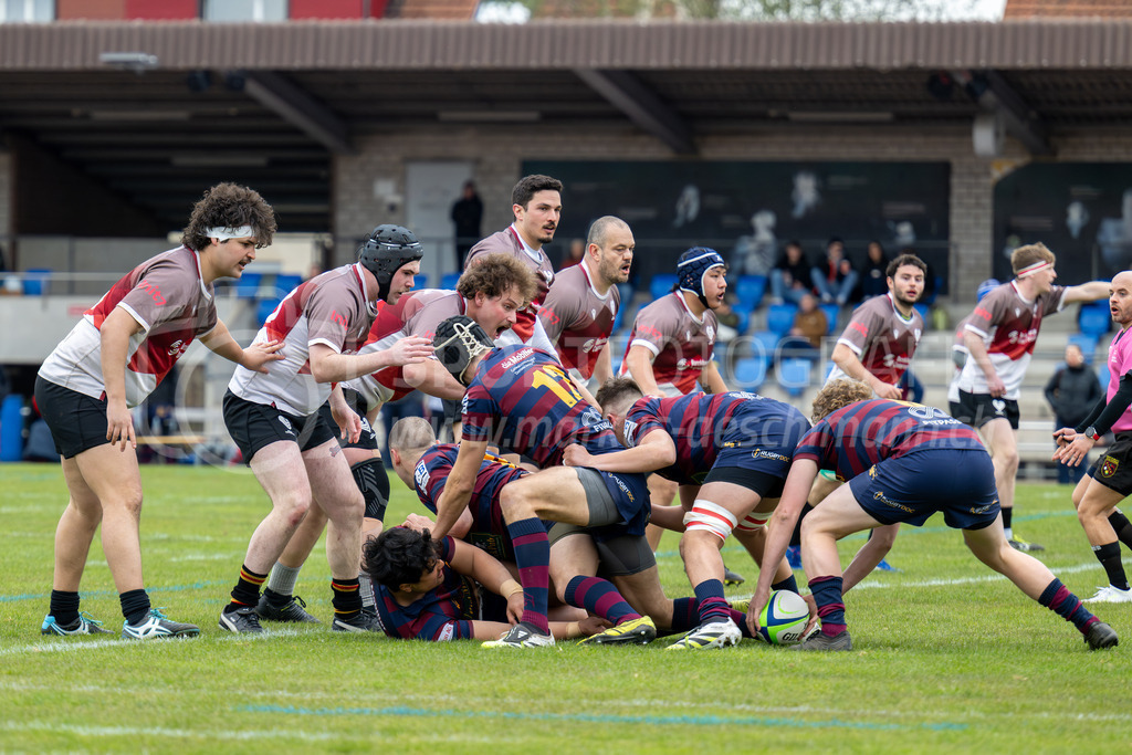 Rugby NLC - Rugby Club Winterthur - Rugby Club Würenlos | 28.03.2026 / Deutweg, WinterthurRugby NLC - Rugby Club Winterthur - Rugby Club WürenlosBild: Sportfotografie Markus Aeschimann | www.markus-aeschimann.ch - Realisiert mit Pictrs.com