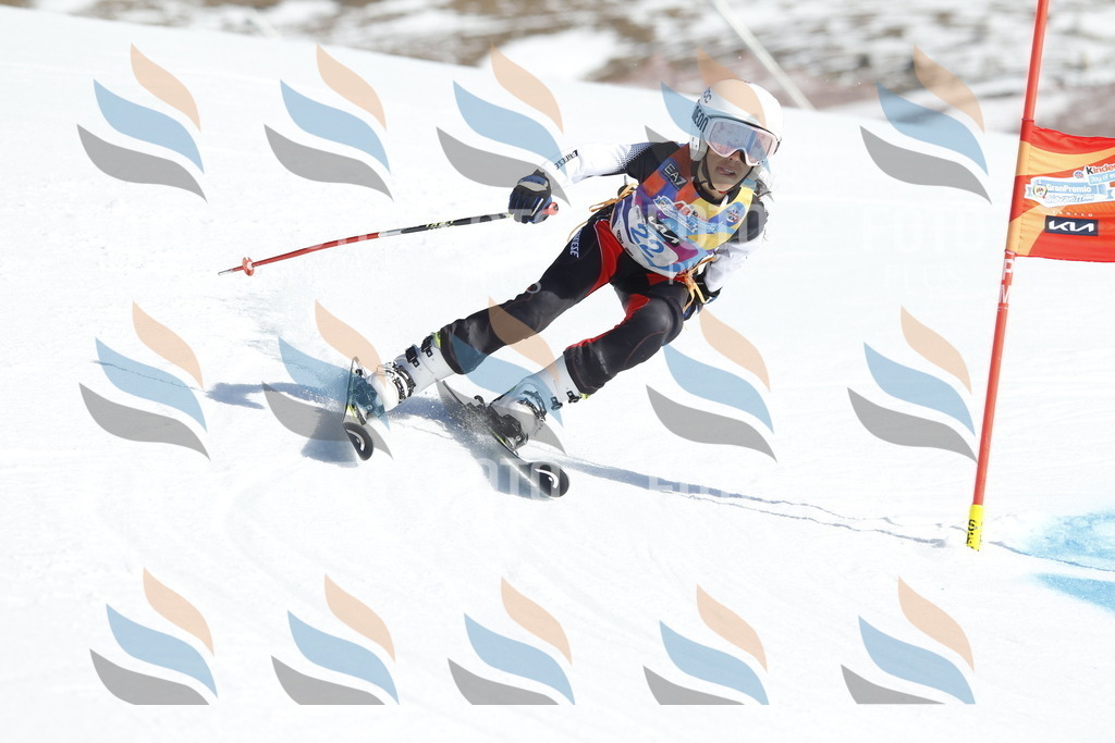 _U3G8898 | holidayphoto