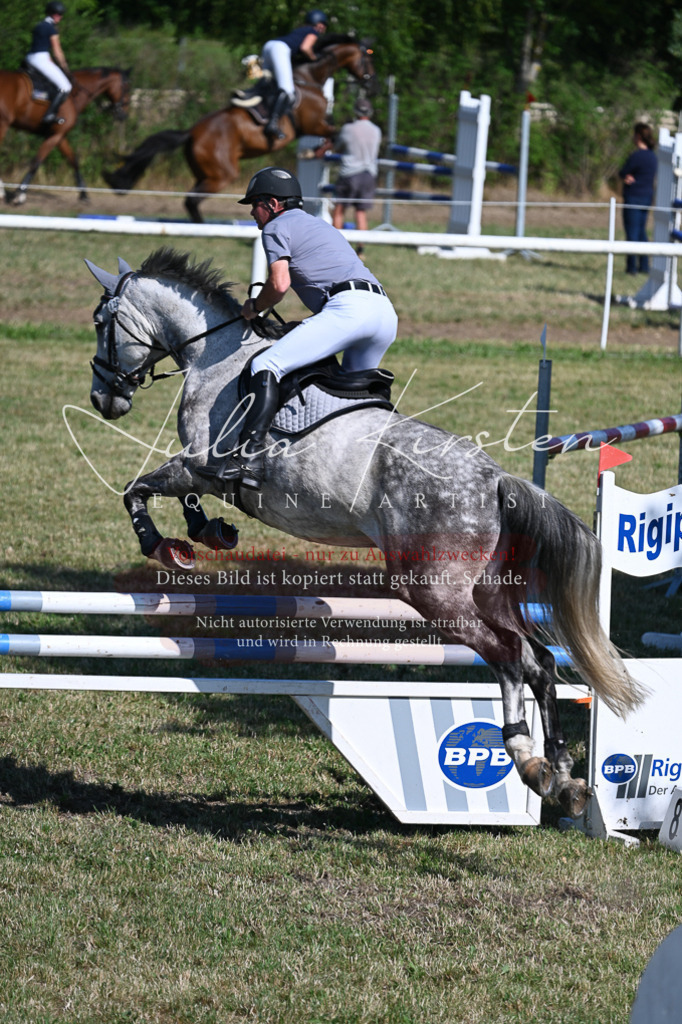 DSC_1977 | Pferde- und Turnierfotografie in Westsachsen. Pferdeportraits, Auftragszeichnungen und intuitive Kunst.