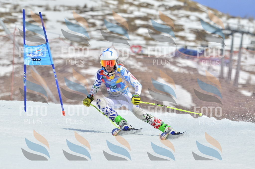 _ELE2136 | holidayphoto