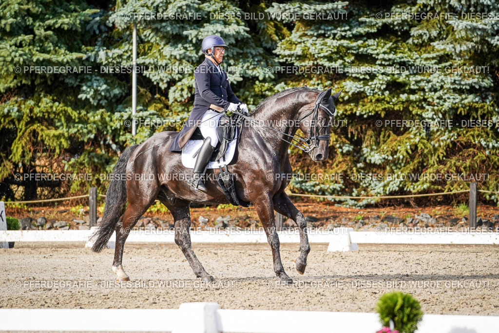 DSC00390 | Pferdegrafie