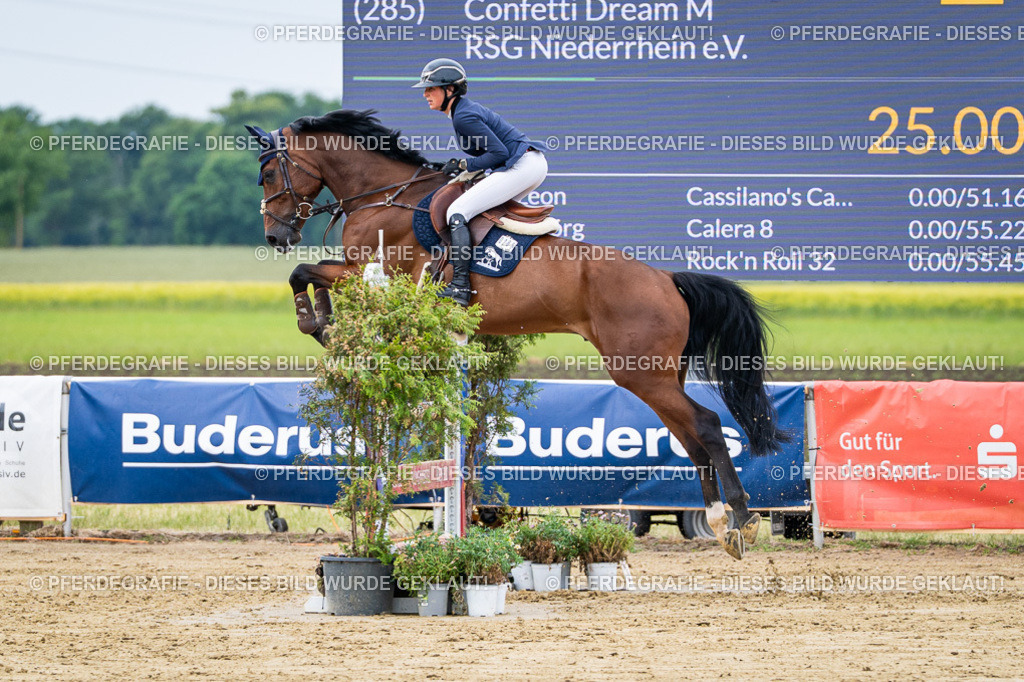 DSC04902 | Pferdegrafie