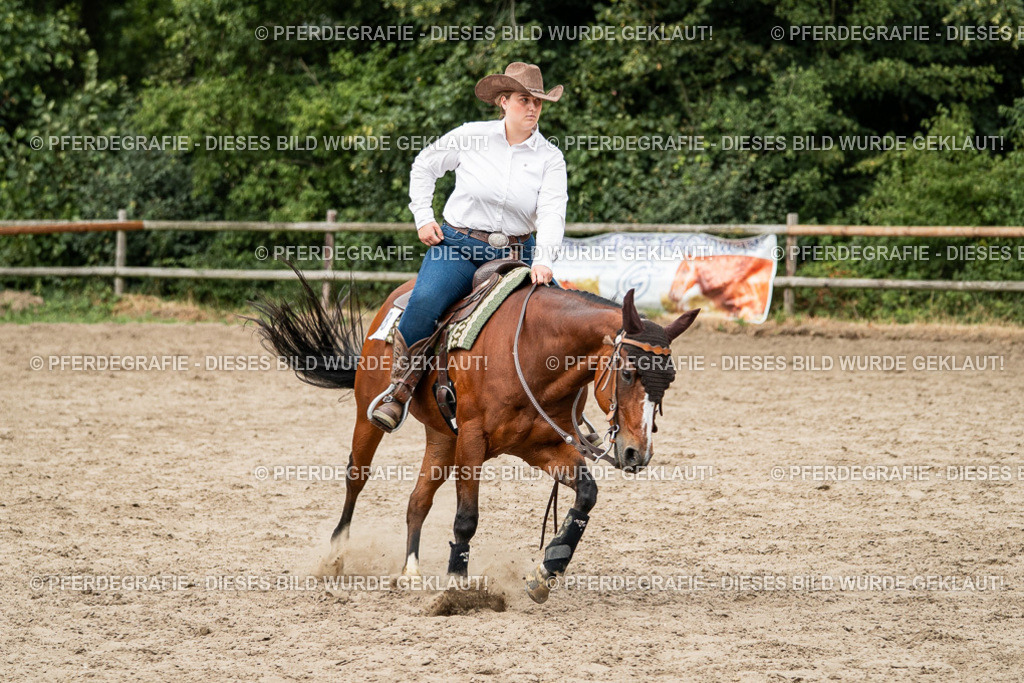 DSC02409 | Pferdegrafie