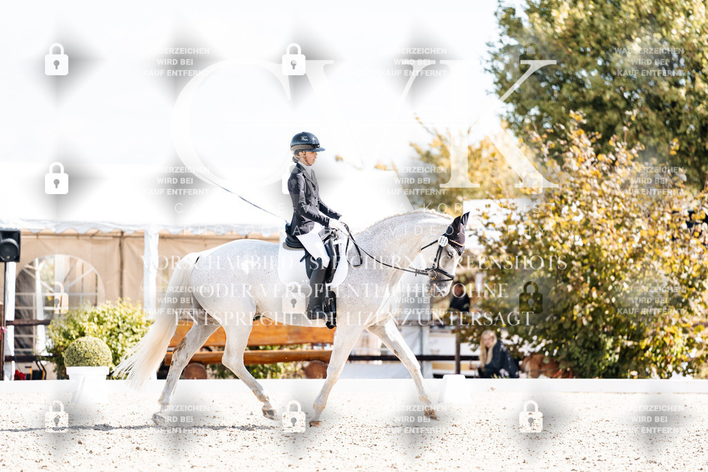 CK902999 | Turnierfotografie Pferdefotografie Trier Rheinland-Pfalz Pferdesport Reitsport Tierfotografie Sportfotografie Pferdevideo Pferdevideografie Equestrianvideography equestrianphotography  - Realisiert mit Pictrs.com