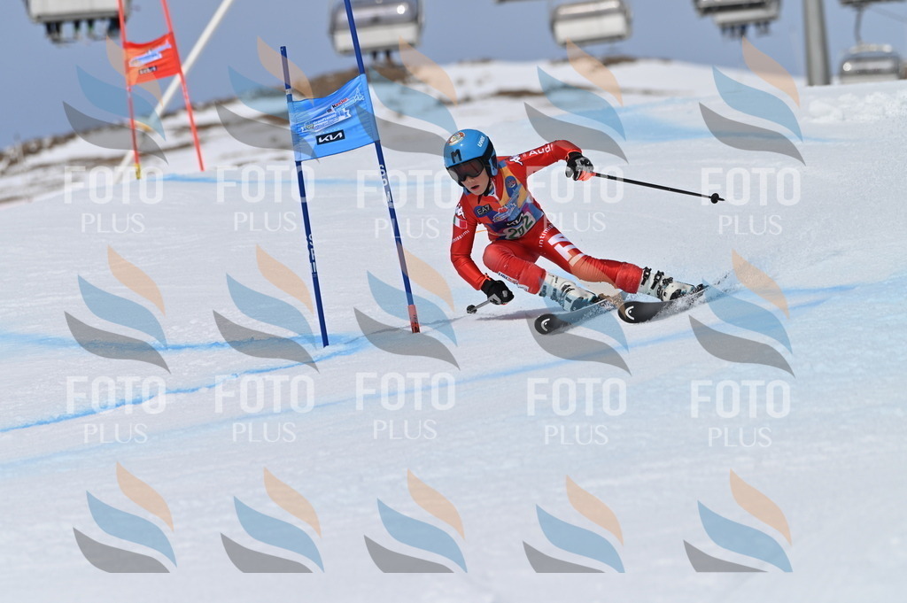 BGV_5832 | holidayphoto