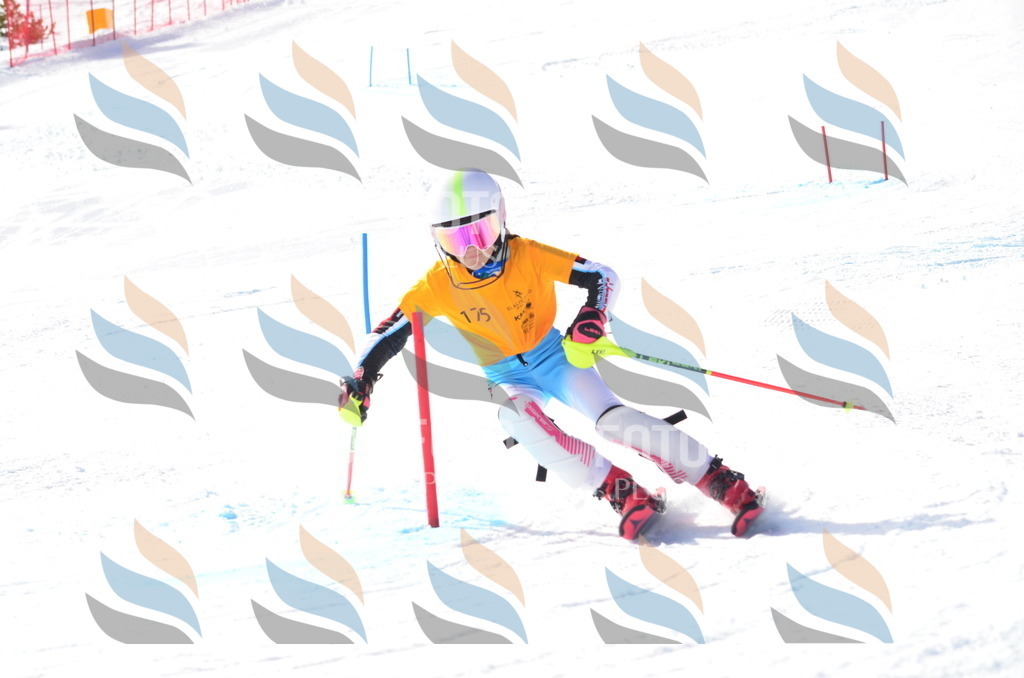 C7942 | holidayphoto