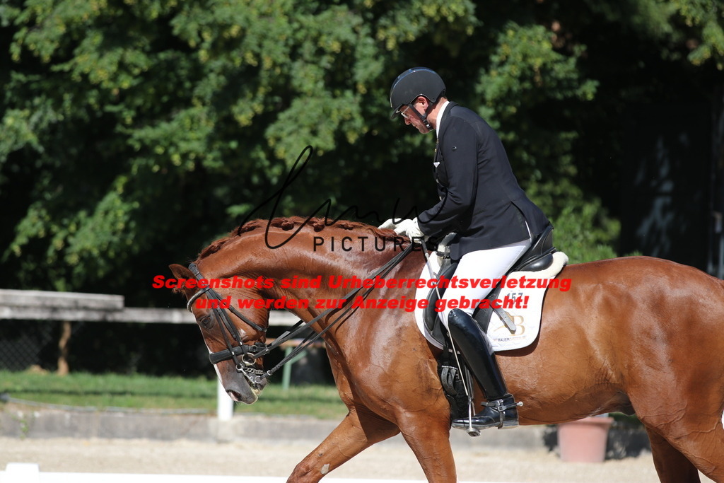 IMG_5461 | lmwpictures - Realisiert mit Pictrs.com