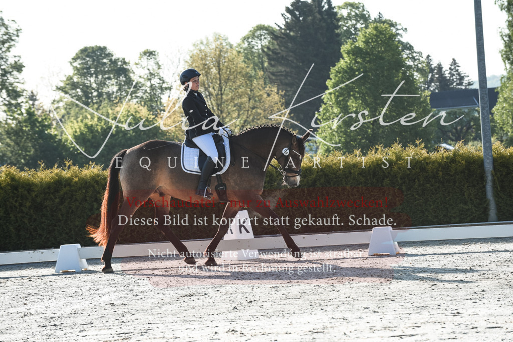 20230518_JK-Röhrsdorf-09-0042 | Pferde- und Turnierfotografie in Westsachsen. Pferdeportraits, Auftragszeichnungen und intuitive Kunst.