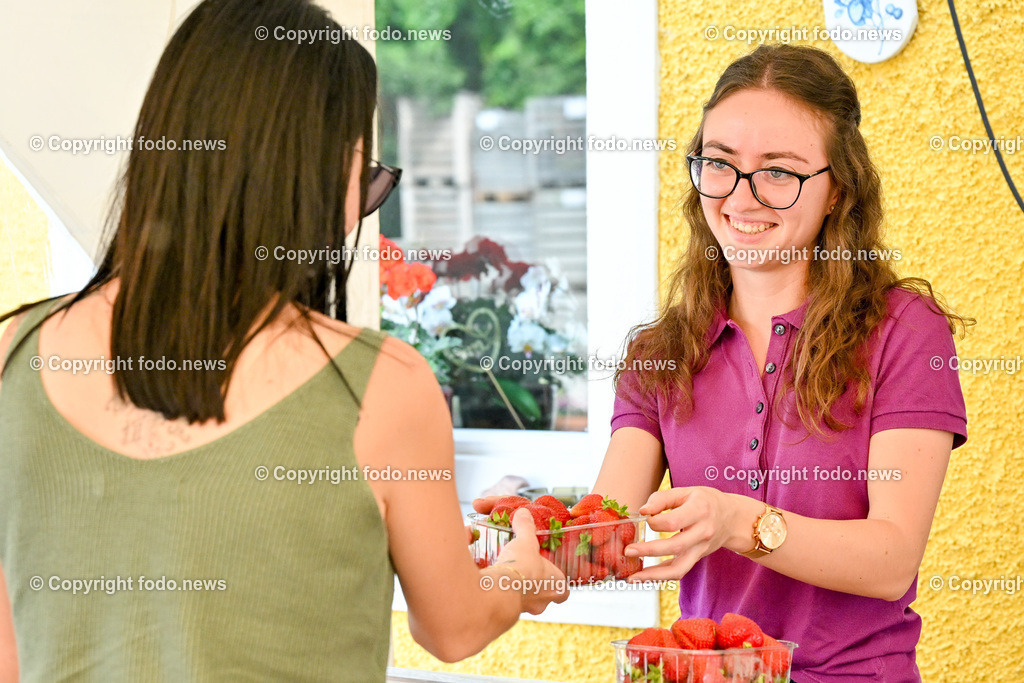 Erdbeeren_ Himbeeren_ Ribisel_ Mayer_ 20.06.2023-29 | 20.06.2023, Raffelding, AUT, Erdbeeren, Himbeeren, Ribisel, Mayer, im Bild Gloria Mayer im Hofladen beim Erdbeer Verkauf