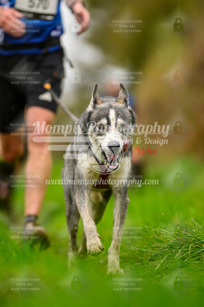 MompixPhotography_20TSB_E8_Run-100 | PayLife