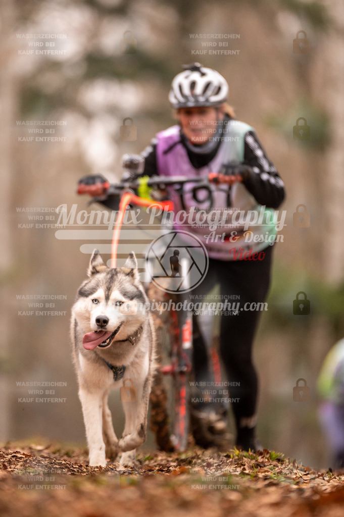 AKM_ST_2023_SAM_Scooter-96 | mompixphotography