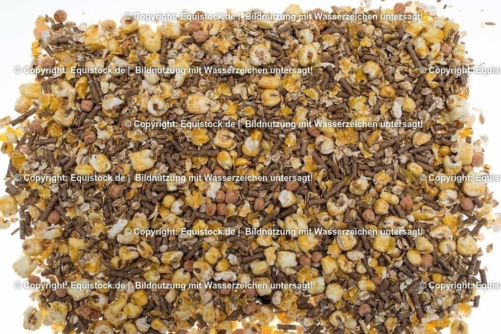 TS_20170202_M__sli_0001 | Foto: Thomas Hartig