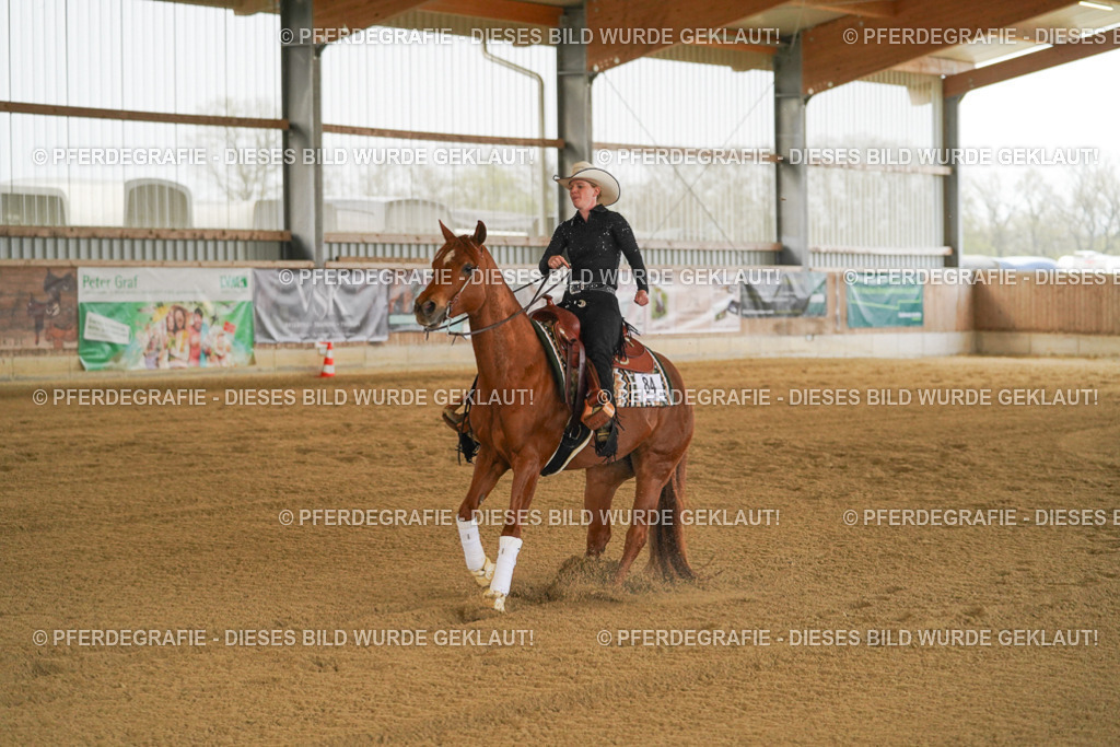 DSC08087 | Pferdegrafie