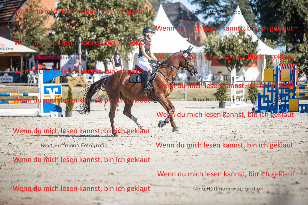 BK1A7289 | Turnierbilder Turnierfotos Nina Hüffmann Turnierfotografie Pferdefotografie Tierzeichnung Haustierzeichnung Pferdezeichnung Hundezeichnung Videograf  - Realisiert mit Pictrs.com
