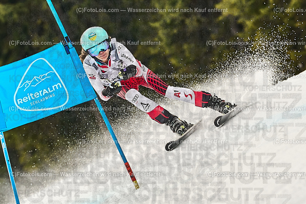 _WWO3924_MASTERS-WM_Reiteralm_CD-SG_DEBELLO Carmen | FISWORLD CHAMPIONSHIPSMASTERS ALPINE SKIING, 23. – 28. MÄRZ 2026 - REITERALM | STMK | AUT.   Veranstaltet vom Masters-Referat des Deutschen Skiverbandes (DSV). Durchführende Organisation: WSV Pichl-Reiteralm, unterstütutzt von den Bergbahnen REITERALM bei Schladming und SKI AUSTRIA.                            Disziplinen:  Super-G, GiantSlalom, Slalom.                                                 Kategorien:  A (Herrn 30-59 Jahre), B (Herrn ab 60 Jahre), C (Damen 30-59 Jahre), D (Damen ab 60 Jahre).                Rennstrecken:   Gasselhöhe und Muldenliftpiste auf der Reiteralm.