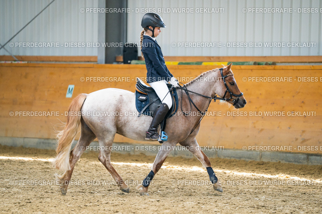 DSC02193 | Pferdegrafie