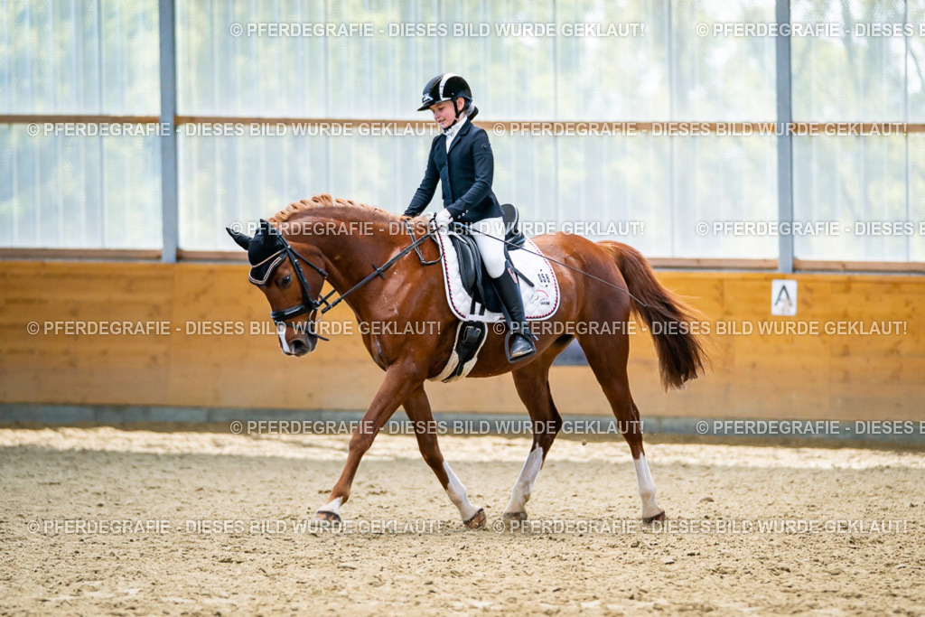 DSC05180 | Pferdegrafie