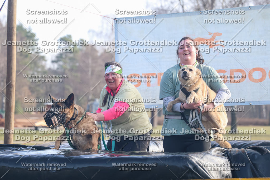 Dog Paparazzi - Strongdog North Mrz26-530 | Dog Paparazzi Jeanette Grottendiek Fotografie & Videografie - Realisiert mit Pictrs.com
