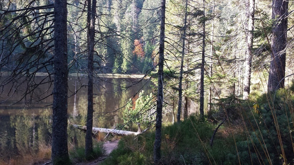 Wilder_See | klausulrichmoeller - Realisiert mit Pictrs.com