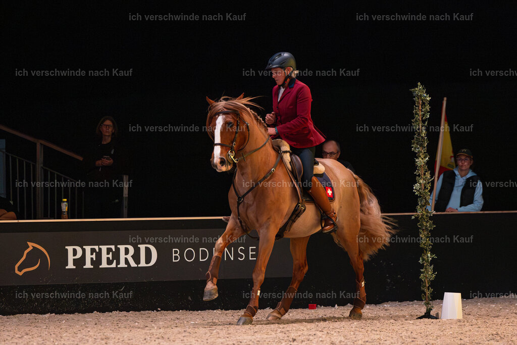 JoseraCup-74 | working equitationturnier fotograf videograf stoibphotography marixx film working equitation deutschland reitsport turnierfotografie eventfotografie equestrian events