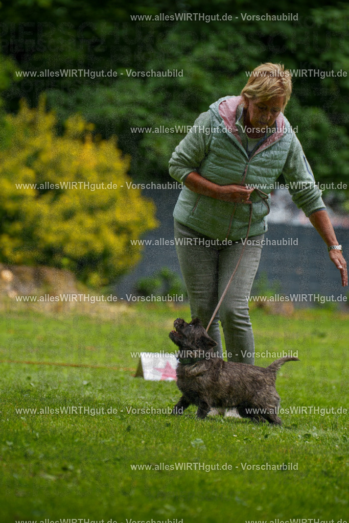 @allesWIRTHgut_Tierfotografie - www.allesWIRTHgut.de - 130345-7R509748 | Professionelle Tierfotografie in Mönchengladbach von Daniel Wirth (allesWIRTHgut). Liebevolle & natürliche Bilder von Hunden & Katzen für unvergessliche Erinnerungen.