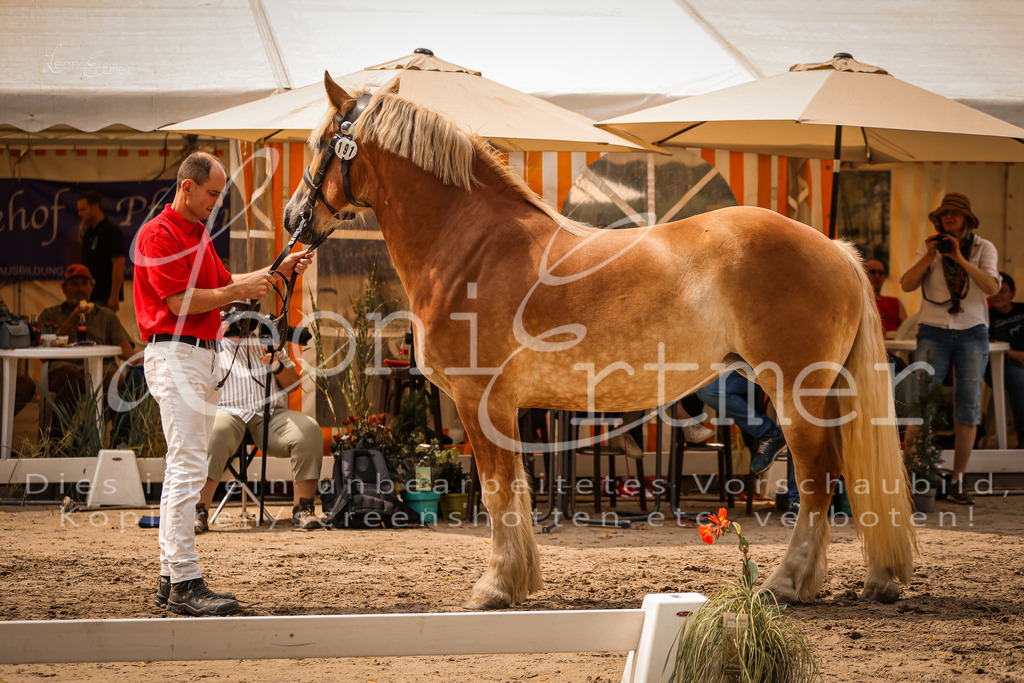 3.Sa00057 | Leoni Ertmer Photography - Realisiert mit Pictrs.com