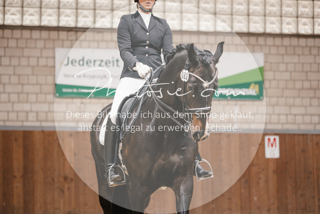 3I6A8727 | Stimmungsvolle Portraits und Reitsportfotografie im Ruhrgebiet und im Münsterland.

Pferdefotografie, Hundefotografie, Tierfotografie, Reportagen, Portraits von Tier und Mensch, Turnierfotografie in Bochum, Recklinghausen, Marl, Haltern am See, Dülmen.. - Realisiert mit Pictrs.com