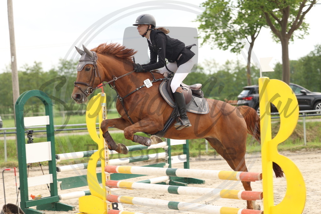 994A8165 | sabrinanicolaifotografie - Realisiert mit Pictrs.com