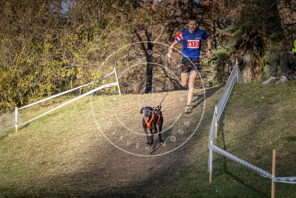 CaniXpix_0L8A8696 | Hundefotografie, Tierfotograf, Pfotenfotografie, Fotoshooting Hund, Hunde Portrait, Hundesport, Hundeportraits, Heideshooting, Hunde, Sportfotograf, Hundefotograf, Turnierhundsport, THS,  - Realisiert mit Pictrs.com