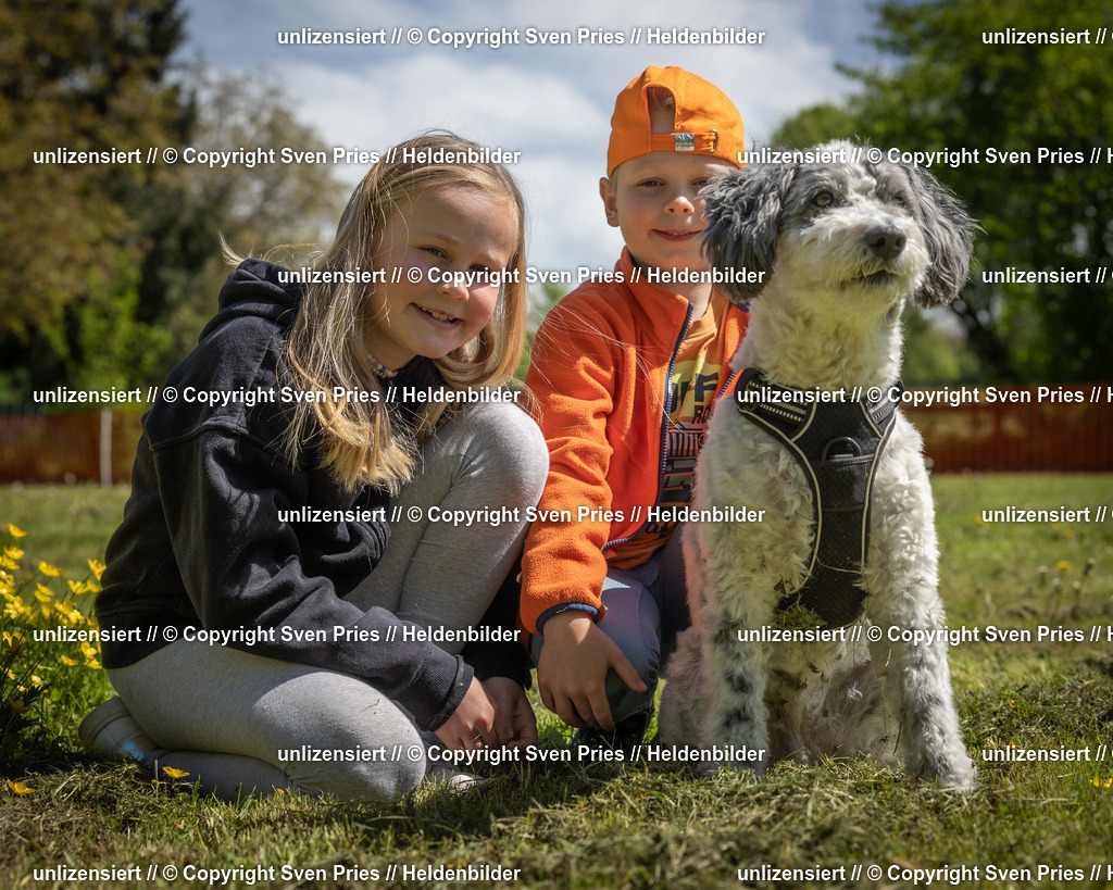 Hunderennen_April_2026_7 | 2026-04-26 - Hunderennen Baden-Oos April 2026 - Realisiert mit Pictrs.com