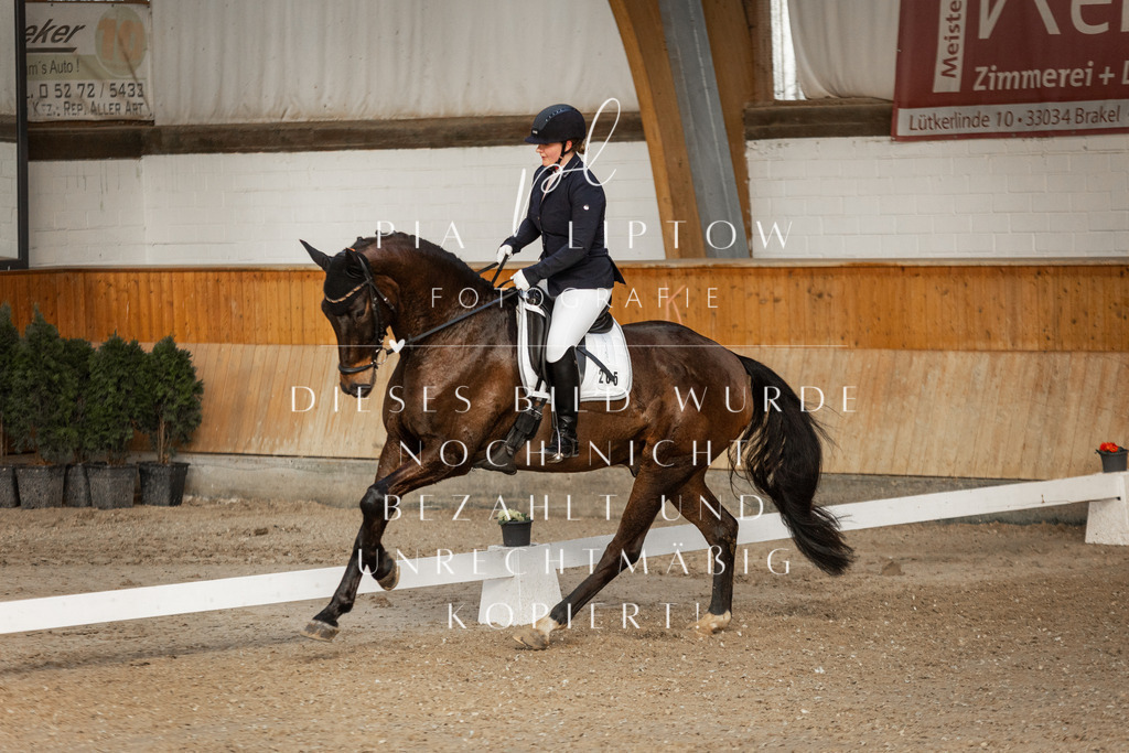 IMGT3972 | pl-fotografie